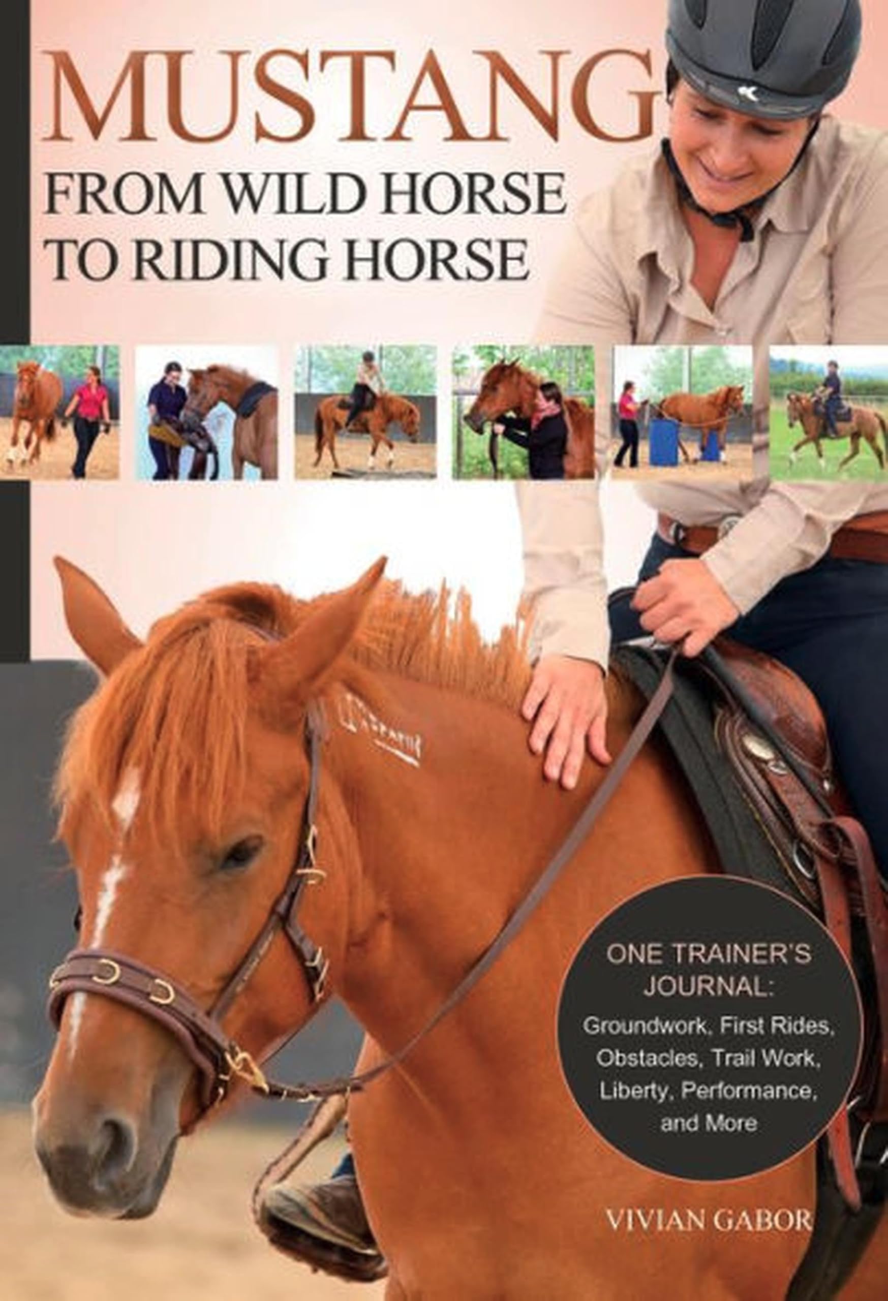 Mustang: From Wild Horse to Riding Horse: One Trainers Journal: Groundwork, First Rides, Obstacles, Trail Work, Liberty, Performance and More