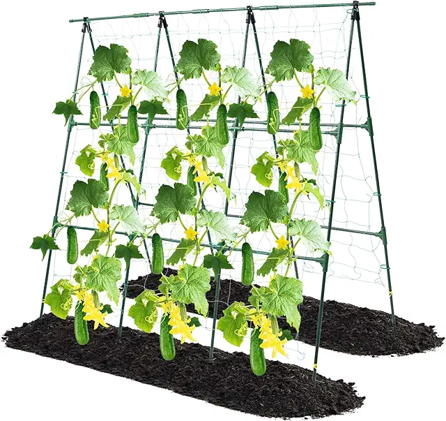 Garden trellis raised bed vegetables
