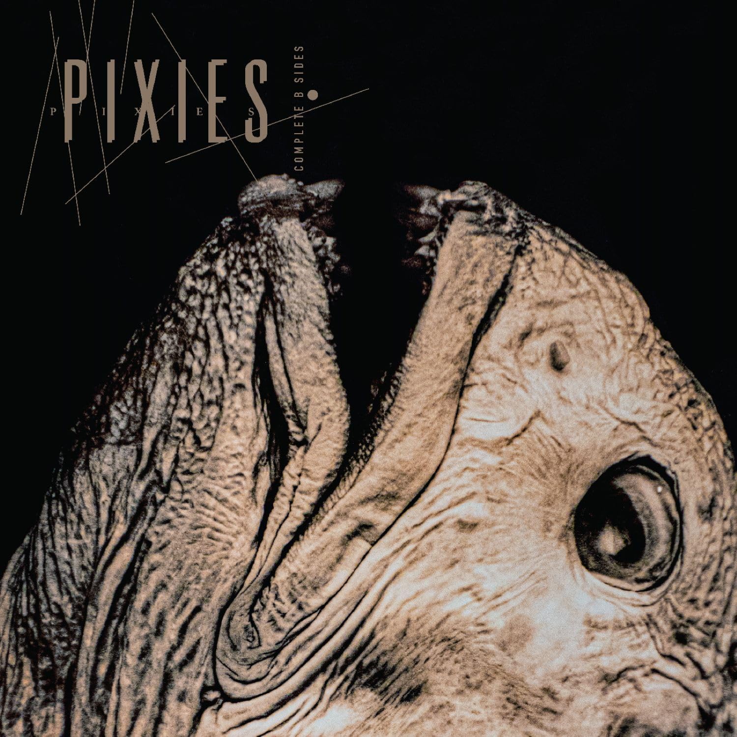 Complete B-Sides 1988-1997