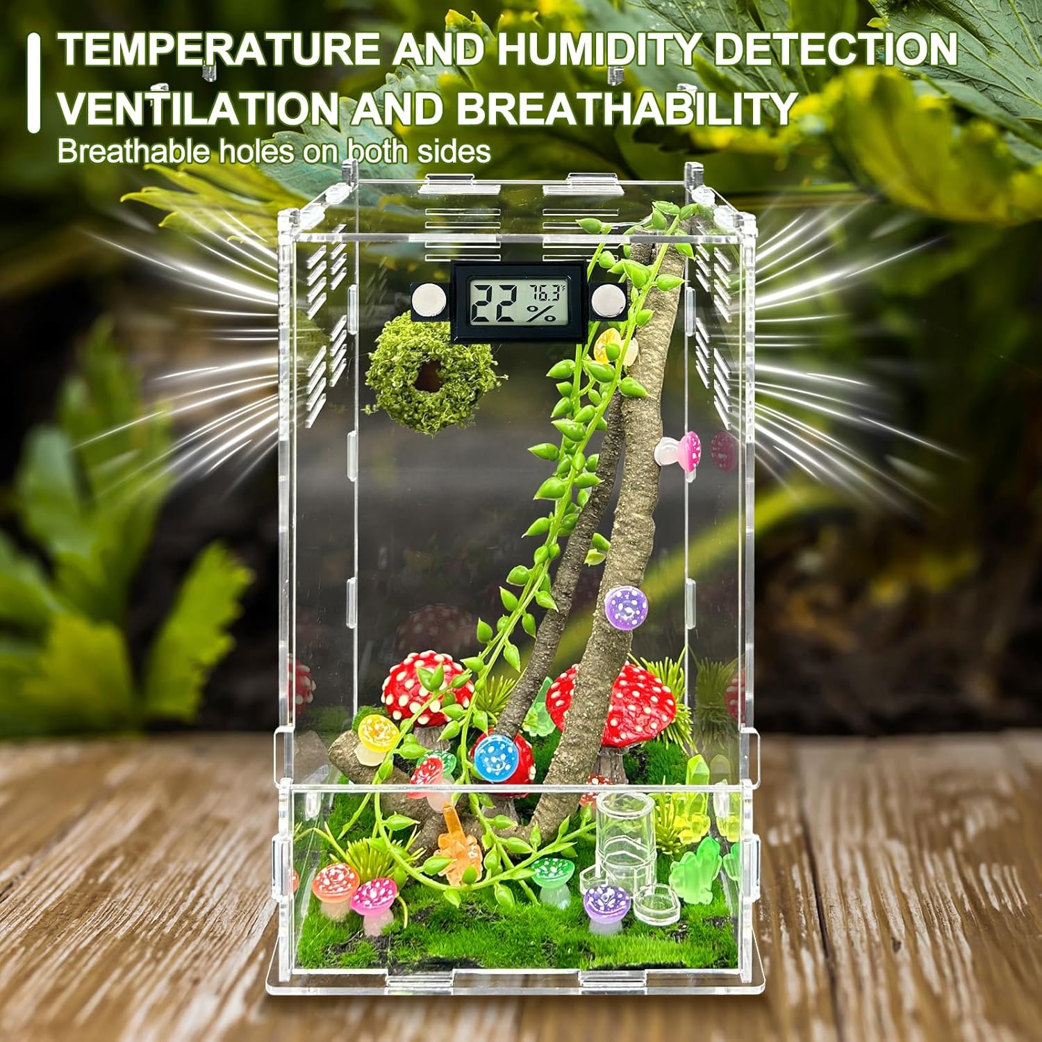 Jumping Spider Enclosure,DIY Insects Habitat,Small Reptile Terrarium Glass House Accessories Set,with Temperature and Humidity Detector Water Feeder Platform Hide,5.5“x5.5”x9.5“ (Luminous Mushrooms)