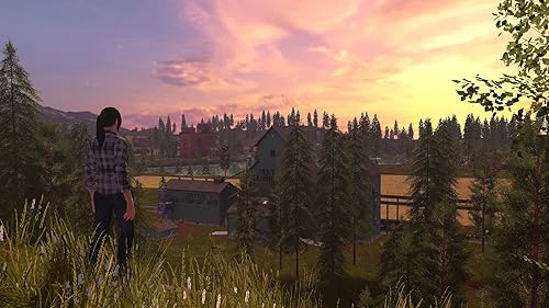 Vista 5 de Farming Simulator 17 - PC