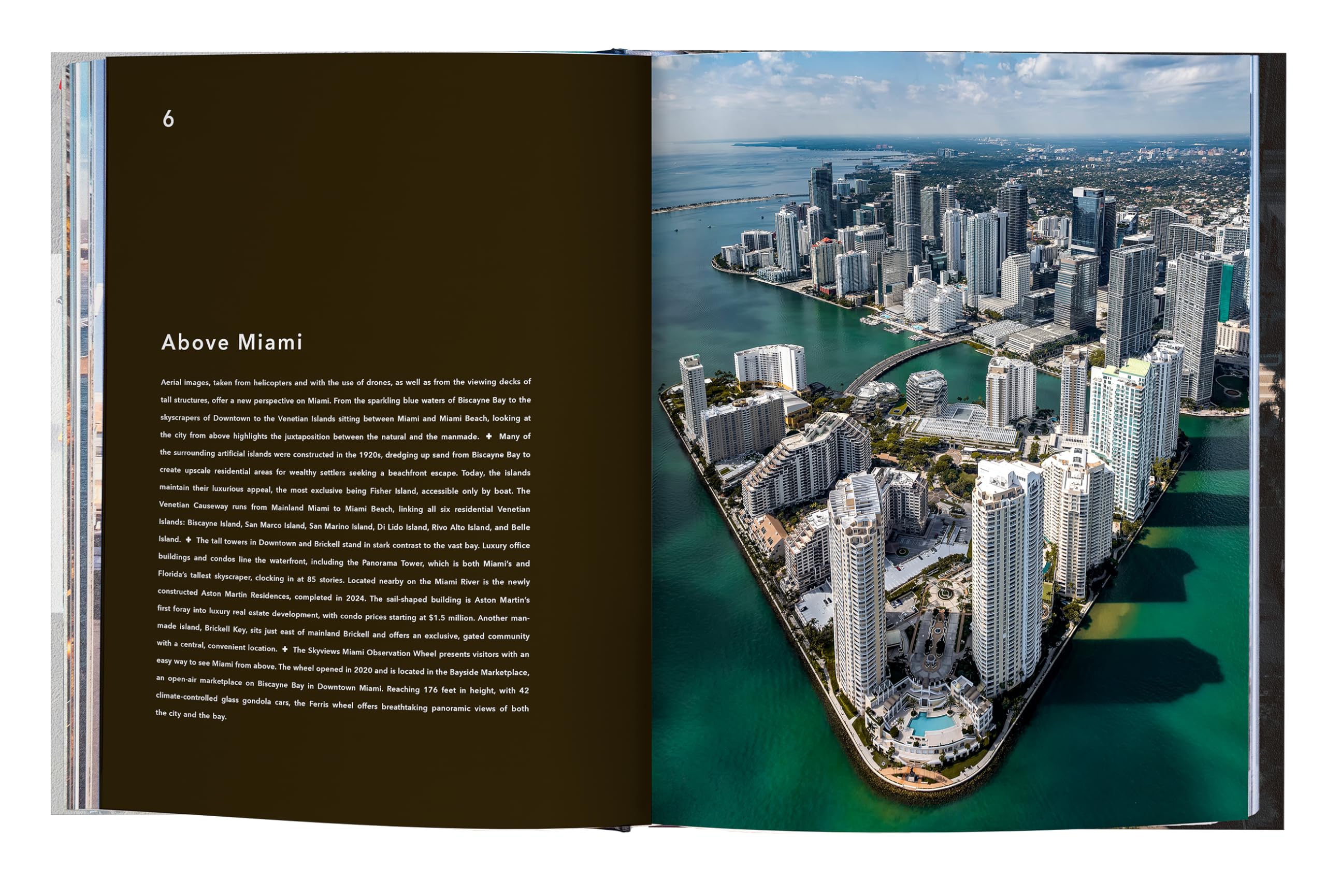 Trope Miami: 12