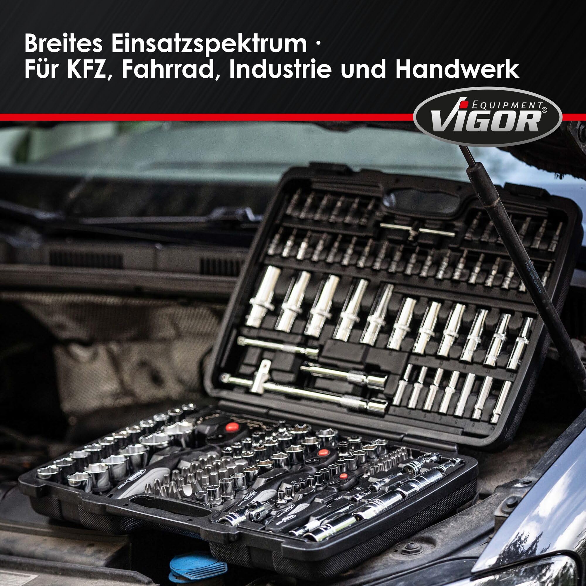 ViGOR Steckschlüsselsatz V2461 I 172-teiliges Werkzeug-Set, Antrieb: Sechs- und Vierkant, Abtrieb-Profile unter anderem: Innen- und Außen Sechskant, Kreuz- Schlitz und Pozidriv