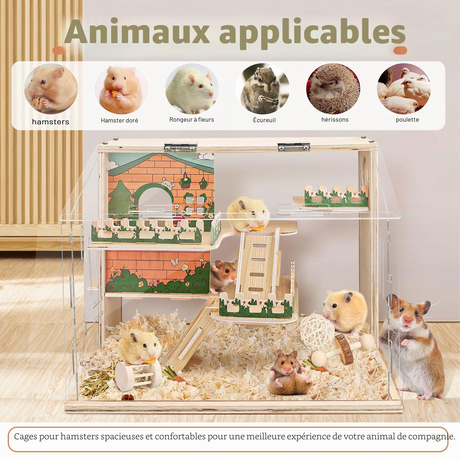 Habitat en bois pour hamster nain, grande cage pour hamster en acrylique, cage spacieuse pour gerbille naine, habitat de qualité supérieure pour hamster nain avec système de ventilation (40 x 30 x 30