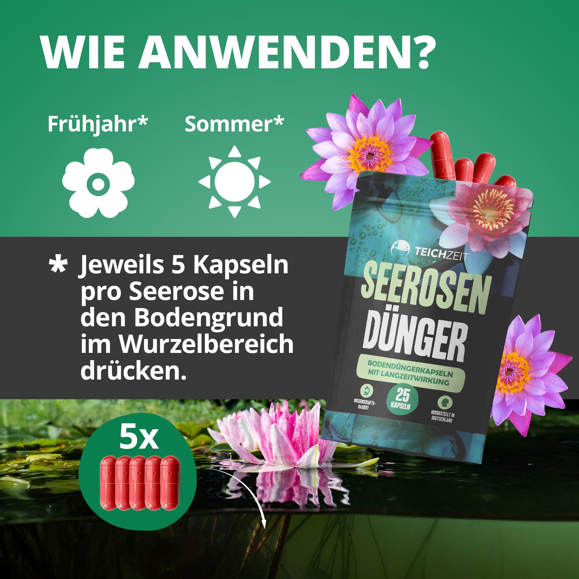 NatureHolic Seerosen Dünger 3er Set - 3X 25 Langzeitdünger Kapseln mit 2-in-1 Wirkprinzip - Teichdünger für Seerosen & Zwergseerosen im Gartenteich & Miniteich - mit NPK und Spurennährstoffen