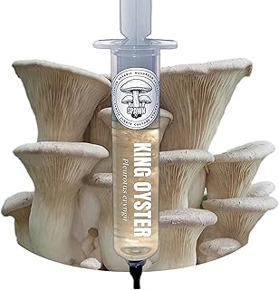 Spawn Mycology 20mL Liquid Culture | (King Oyster)
