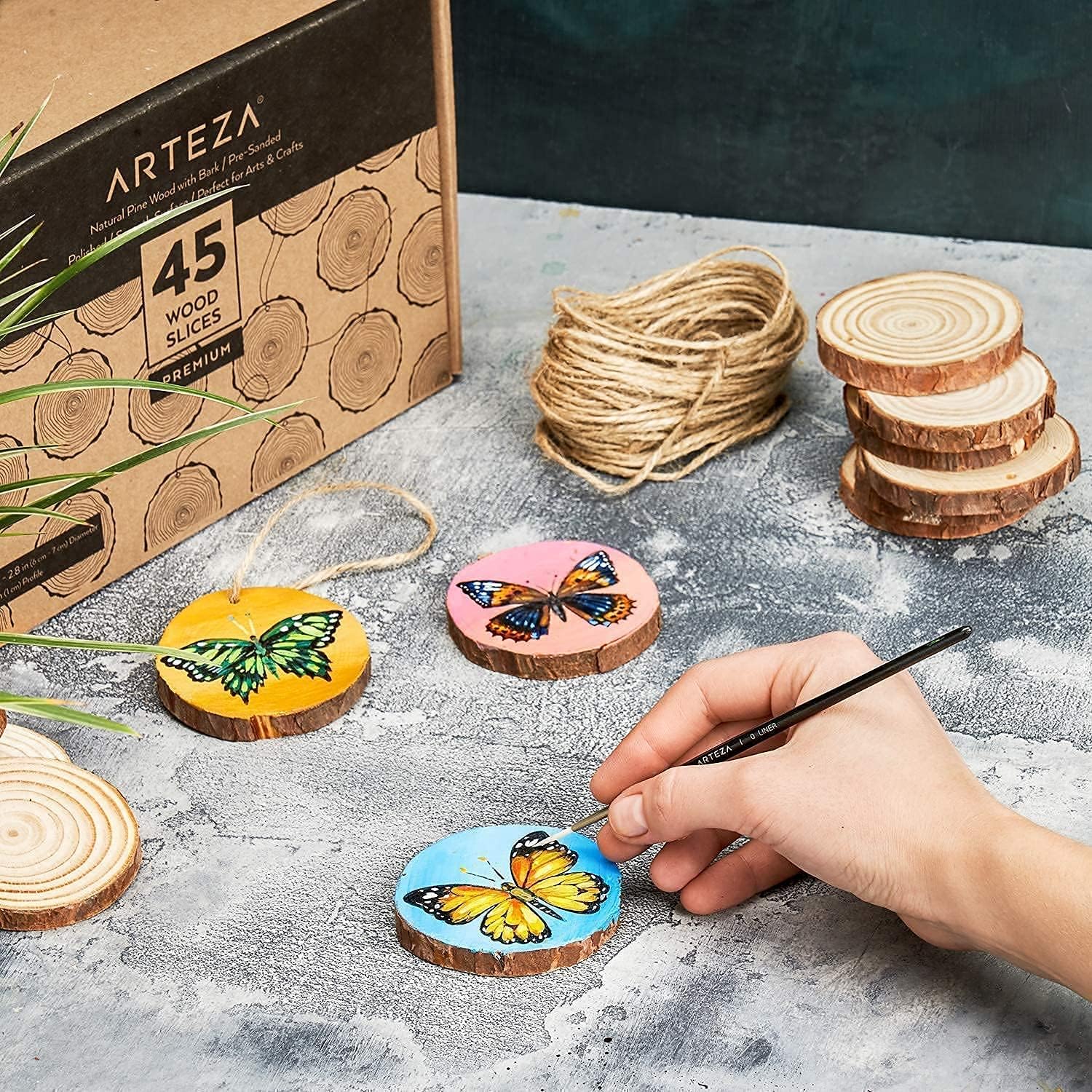 ARTEZA Acrylic Paint Set and Wood Slices Bundle, Painting Art Supplies for Artist, Hobby Painters & Beginners