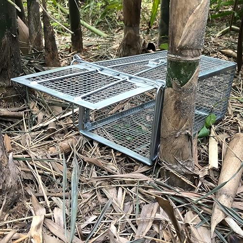 Miniatura 6 de Gingbau Trampa Humana Viva para Ratas, Ratones y Ardillas Listadas con Jaula (No para Ardillas)