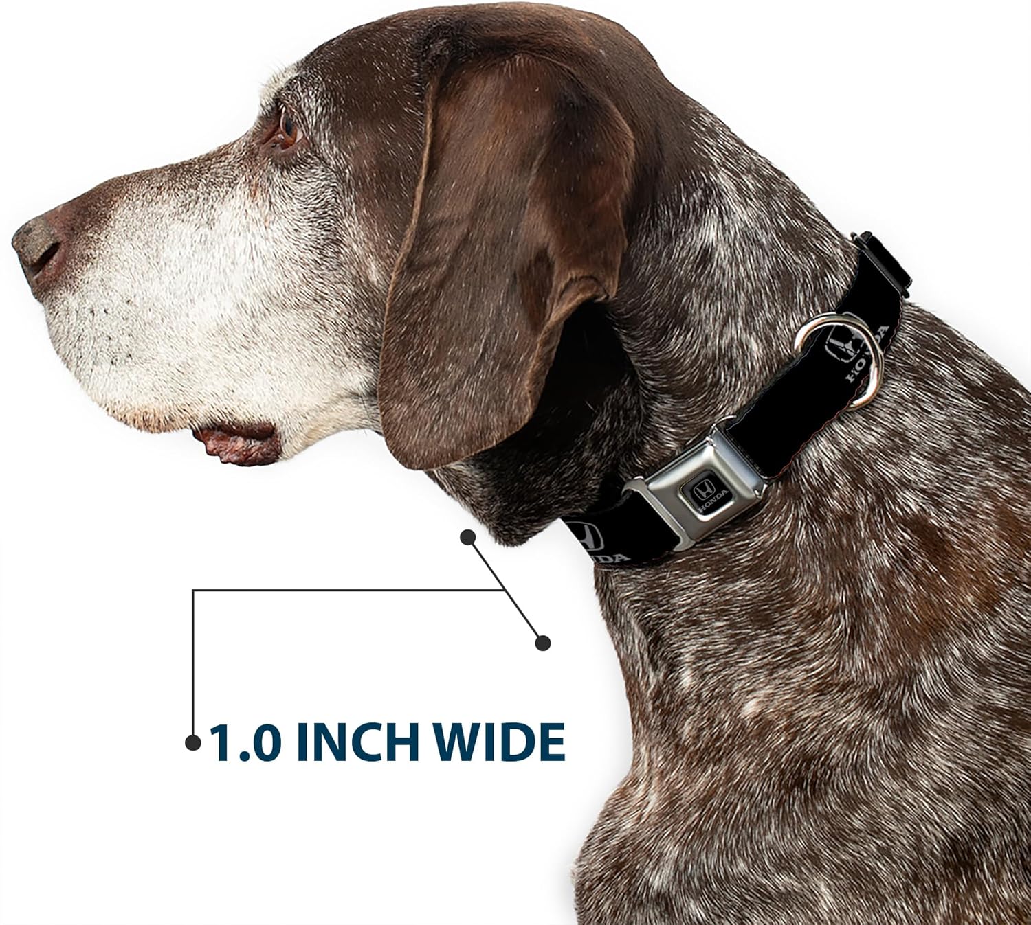 Dog Collar Seatbelt Buckle Honda Logo Black Silver 11 to 17 Inches 1.0 Inch Wide