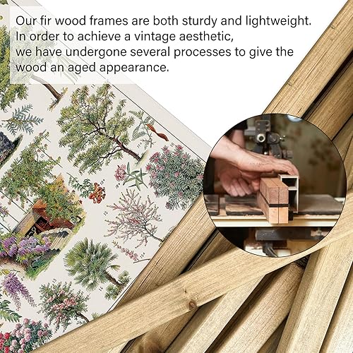 Miniatura 246 de XIAOAIKA Póster de botánica vintage con marco de madera, tabla de plantas venenosas antiguas, arte educativo botánico con especies peligrosas, 1