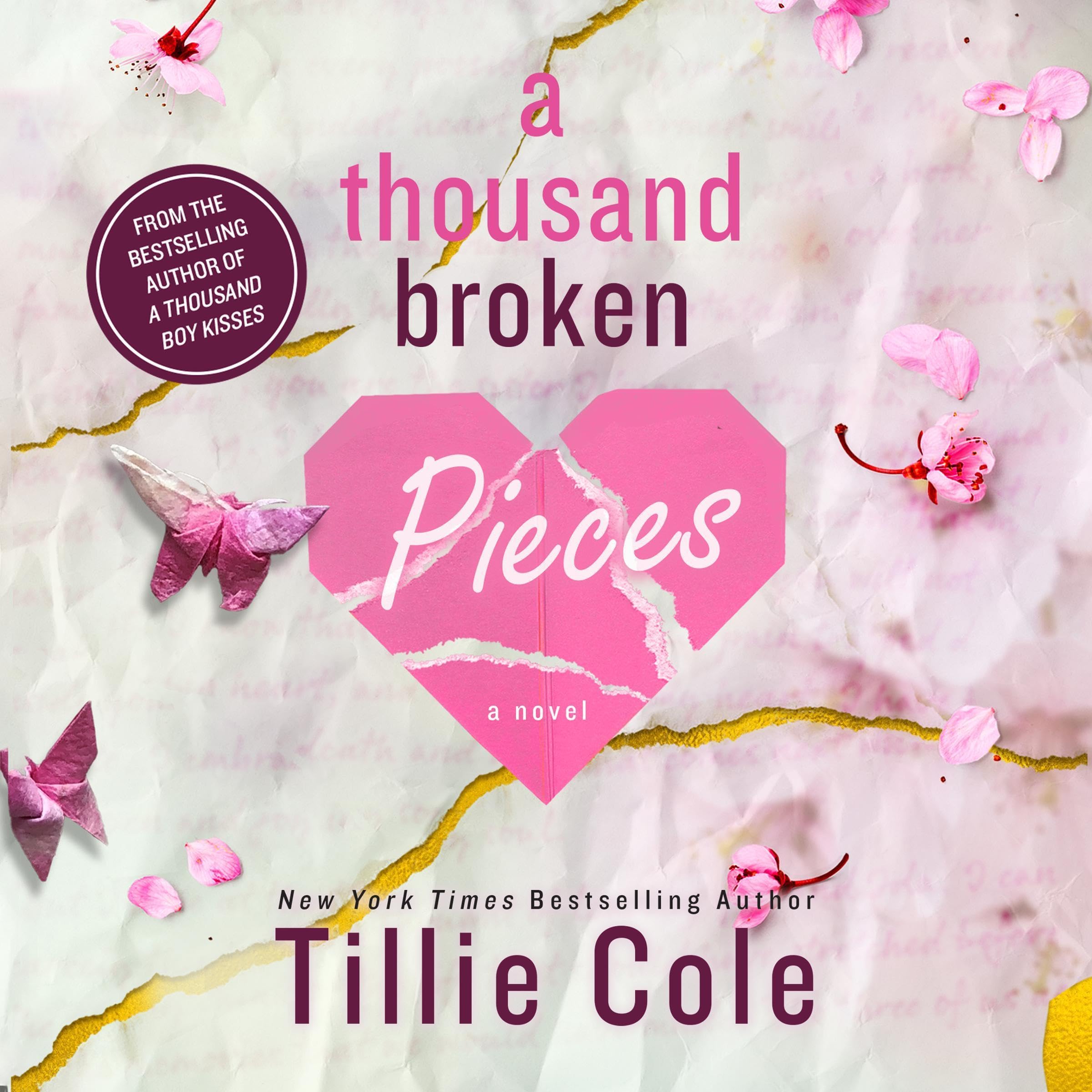 Cover art for A Thousand Broken Pieces