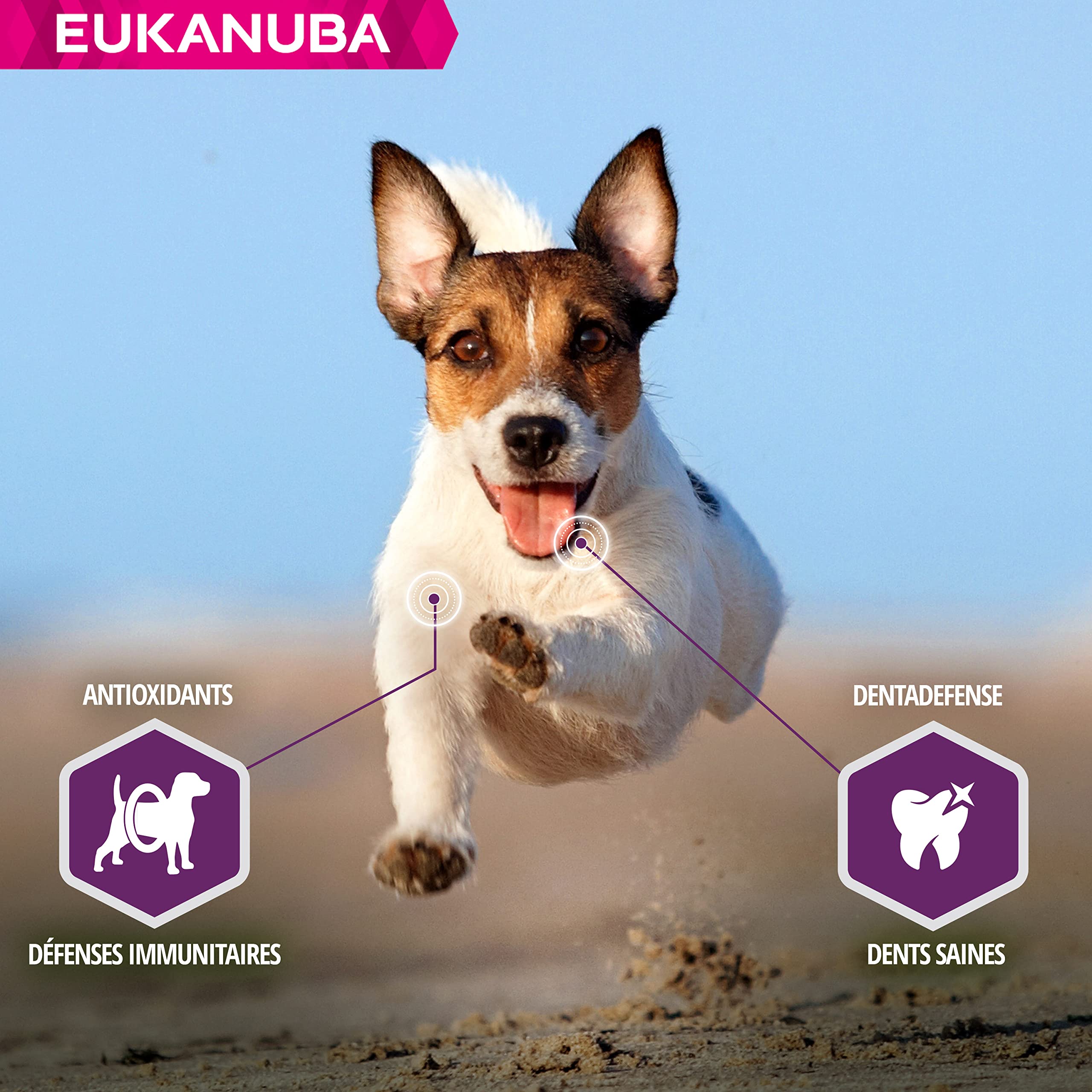 Eukanuba - DailyCare Sensitive Skin - 12 kg