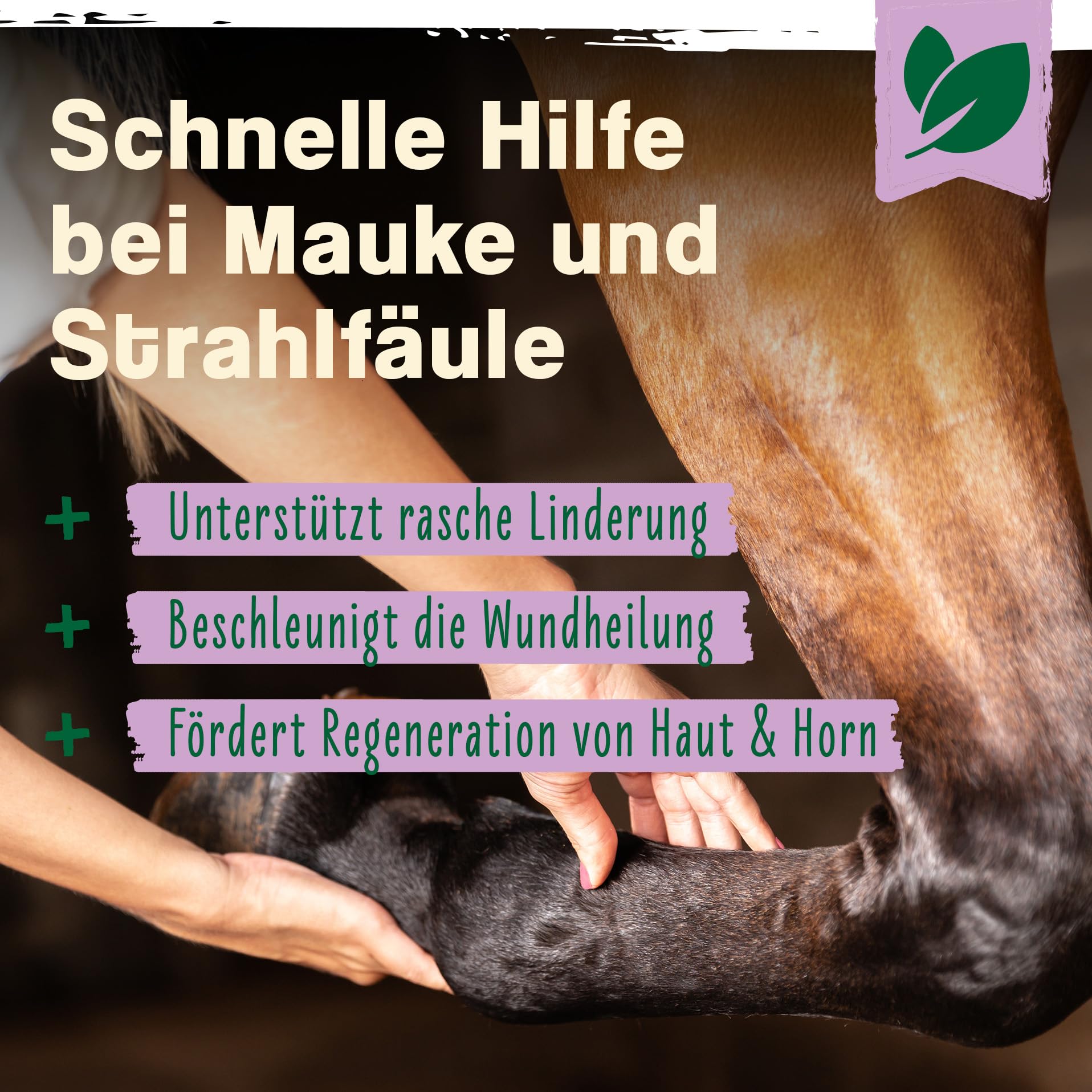 Ida Plus Mauke Spray für Pferde 500 ml - schnelle Hilfe bei Mauke, Strahlfäule & Ekzemen - Mauke Mittel mit effektiven Mikroorganismen - rasche Linderung, hautfreundliche & schmerzfreie Hufpflege