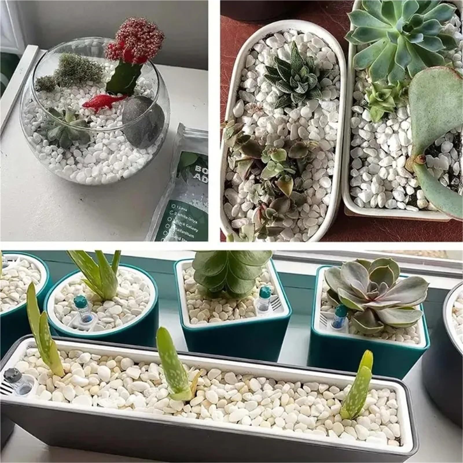 Pietre Decorative da Giardino Marmi di ciottoli for succulenti Bonsai Acquario Vaso pianta Piccola Pietra Home Garde(4-6cm)