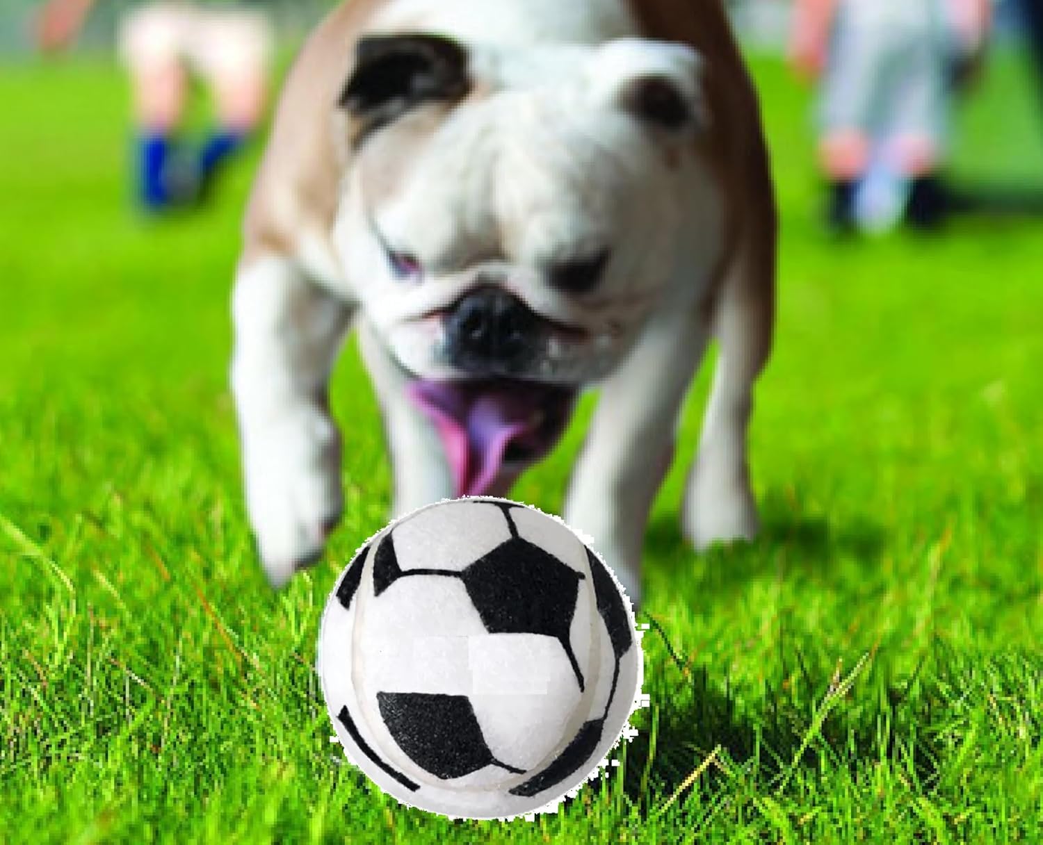 2.5" Extra Thick Rubber Basketball Solid Black or Soccer Sports Themed Dog Toy Ball Bulk Packs (100 Balls - Basketballs)