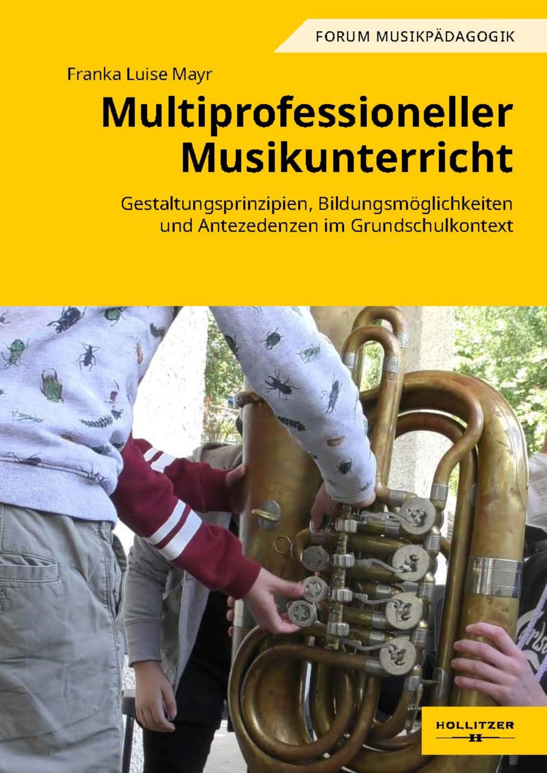 Multiprofessioneller Musikunterricht: Gestaltungsprinzipien, Bildungsmöglichkeiten und Antezedenzen im Grundschulkontext (Forum Musikpädagogik 166)