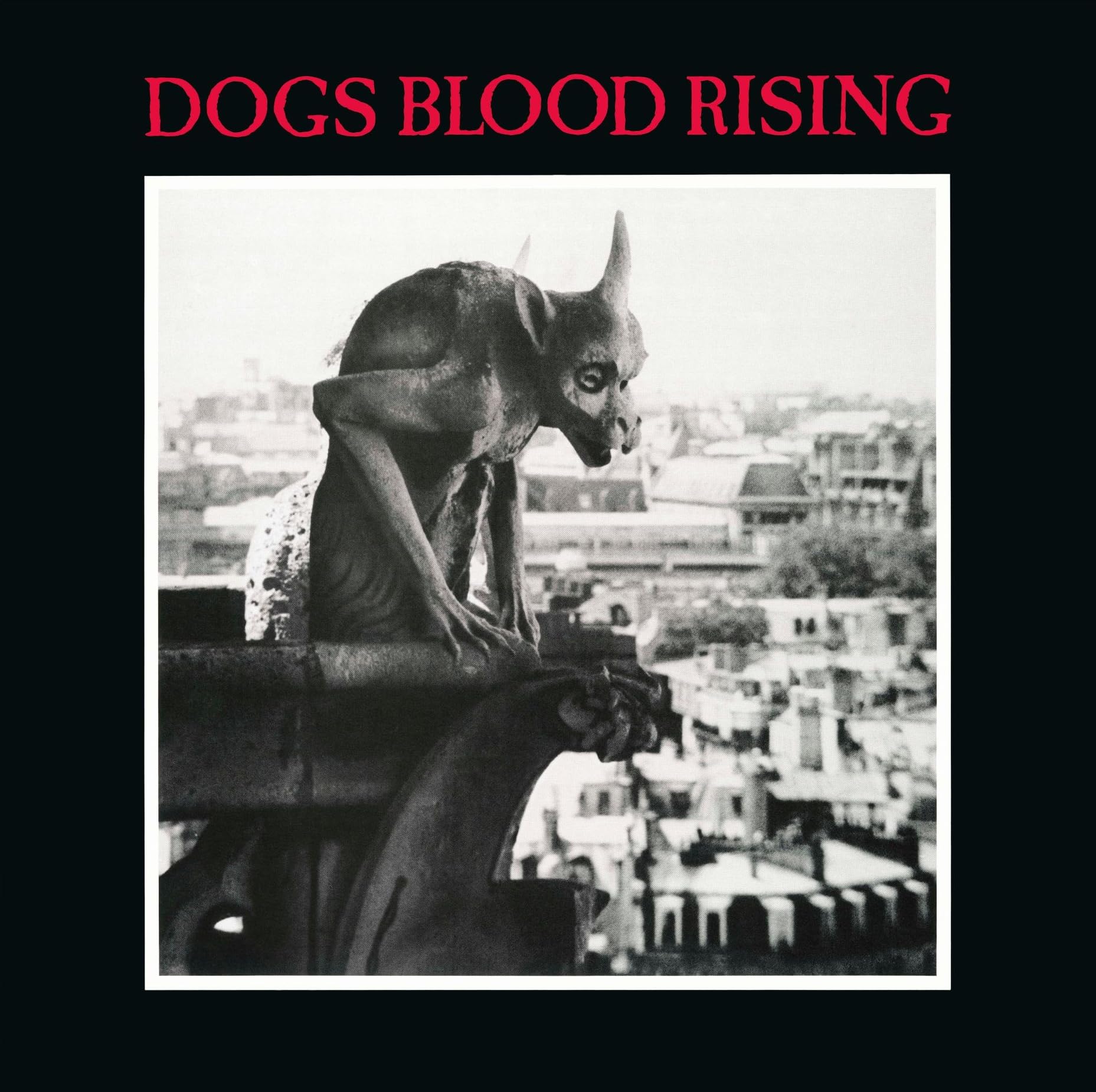 CURRENT 93 - Dogs Blood Rising (26/06/2026) NEW VINYL LP - Sealed Reissue Album
