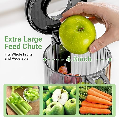 Miniatura 2 de AAOBOSI Exprimidor de prensa en frío, 4.35 pulgadas de conducto de alimentación grande, máquina exprimidora (actualización) Extractor de jugo lento