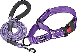 Coleira para cachorro Haapaw 2 pacotes com coleiras refletoras de liberação rápida para cães pequenos, médios e grandes