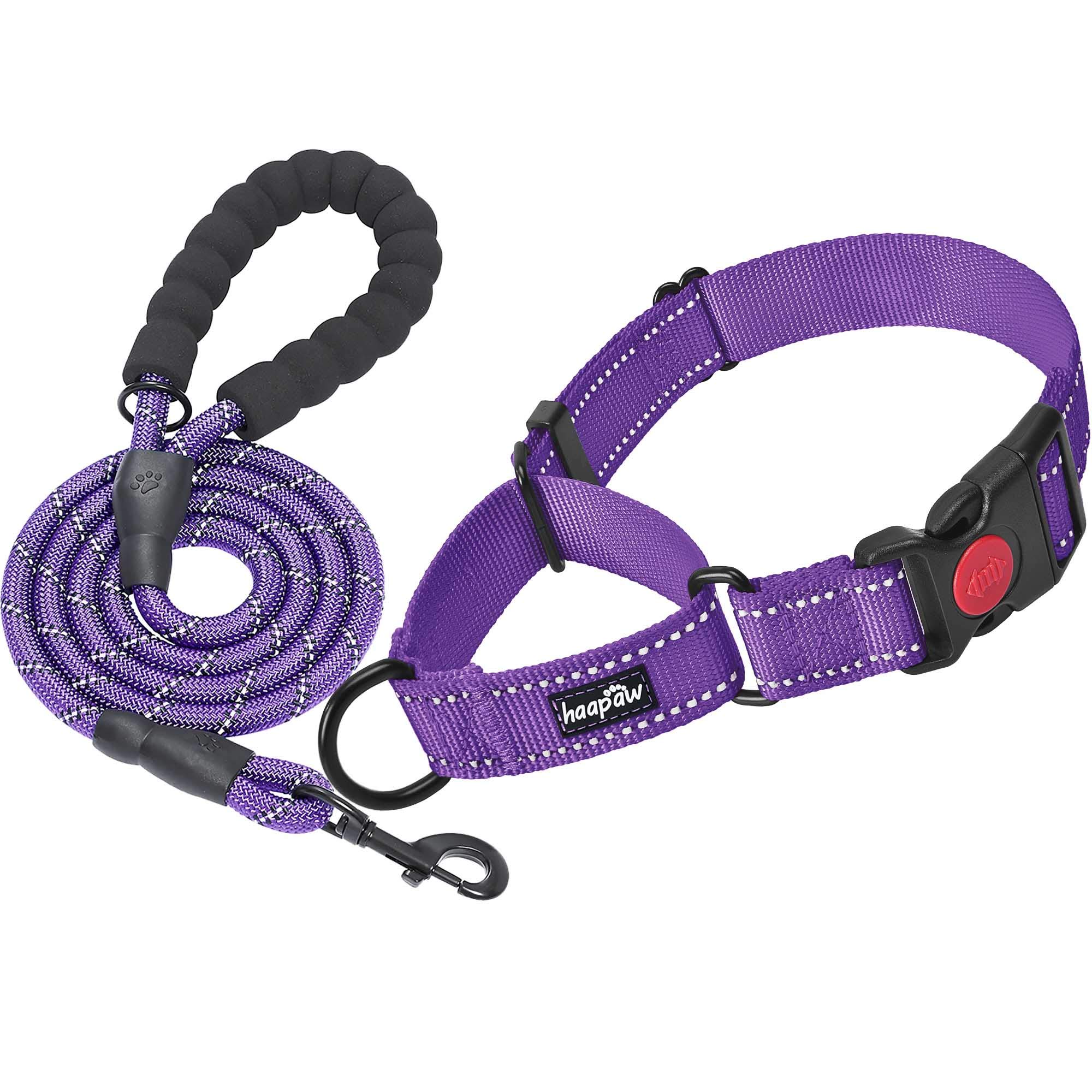haapaw Martingale Dog Collar with Leash