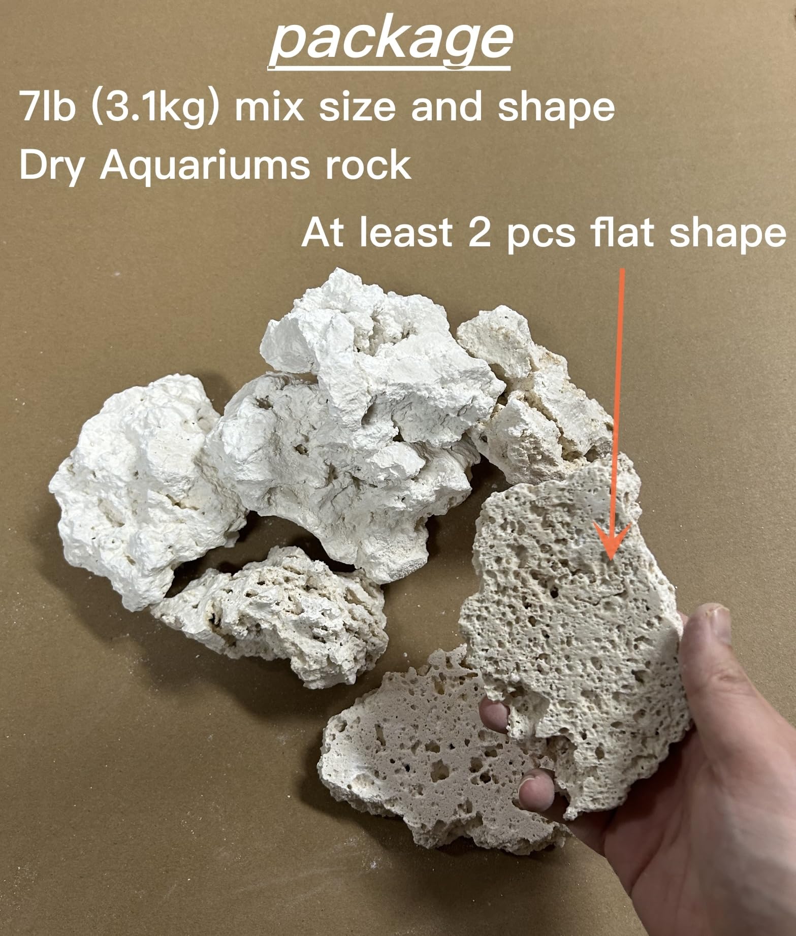 YZHZOM Roche de base sèche pour aquarium Corail blanc Ornement Roches de base marine pour aquarium (3,2 kg, tailles et formes mélangées)