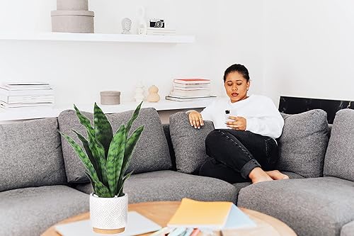 Miniatura 5 de Plantas artificiales de serpiente de 16 pulgadas con maceta de cerámica blanca Sansevieria, planta de serpiente falsa, planta sintética en maceta