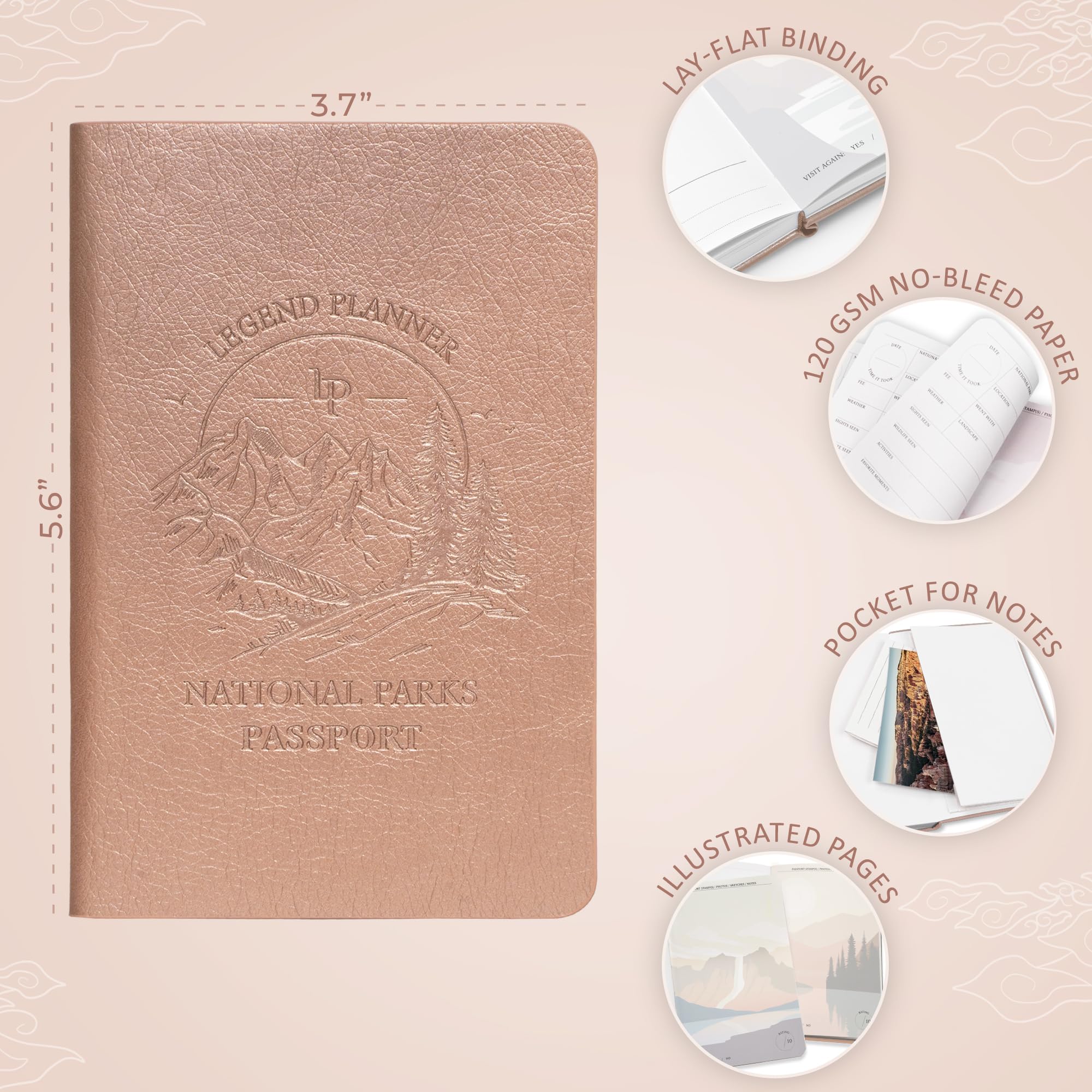 View 2