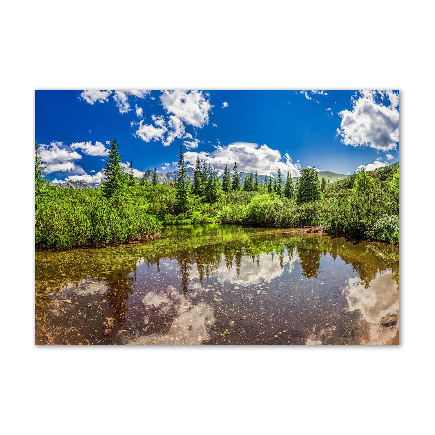 Image verre plastique forêt et lac pour créer un salon zen contemporain