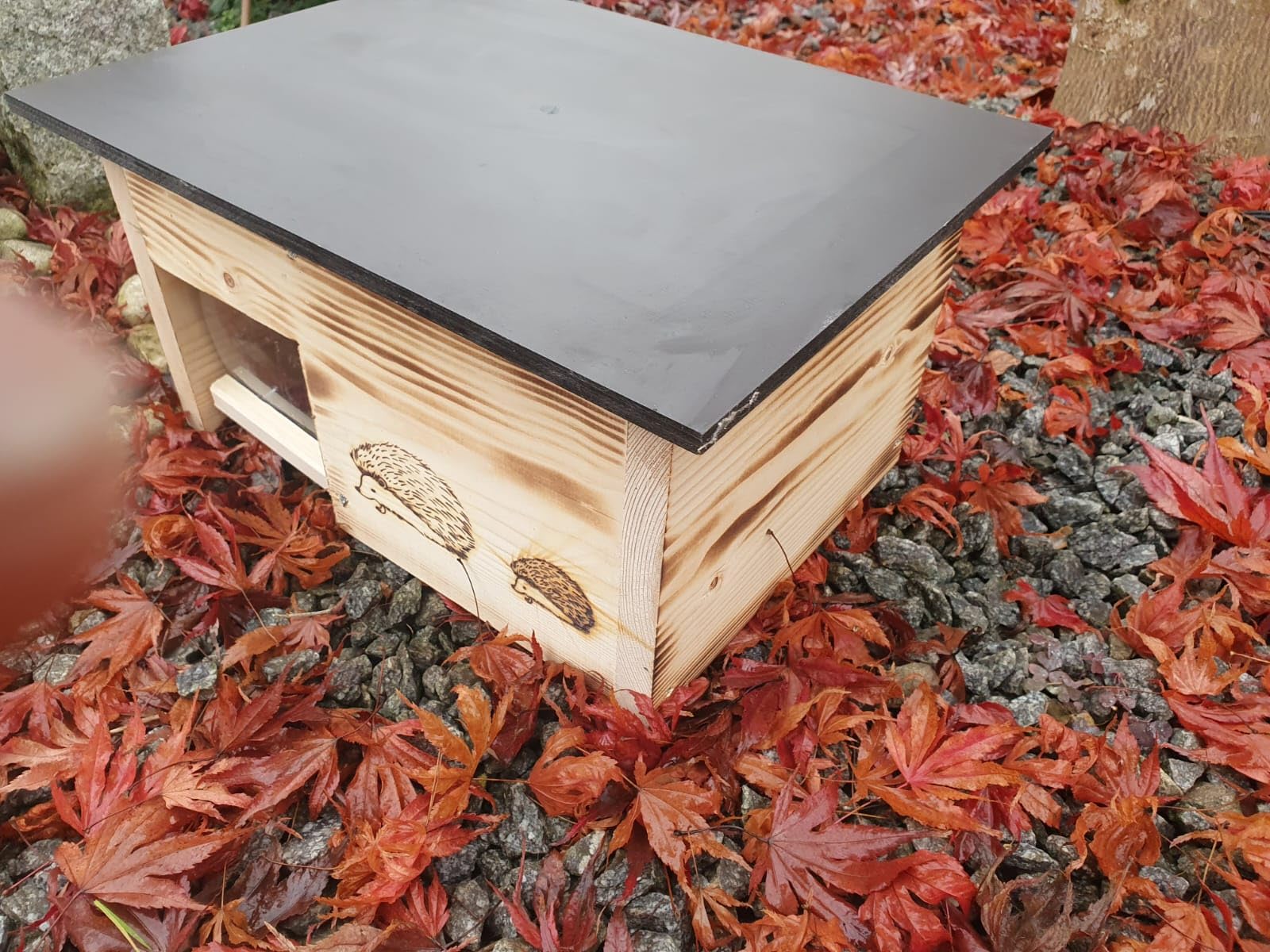 Met een egelhuisje help je een egel (comfortabel) de winter door