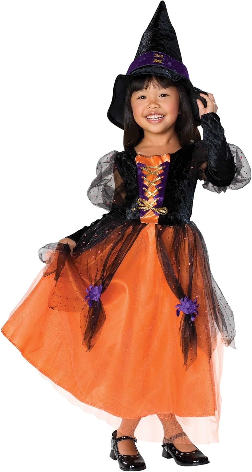 Little Princess Child's Pretty Witch Costume, Large