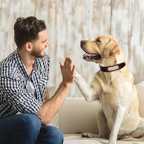 Miniatura 7 de Didog - Collar de cuero auténtico con placa de identificación grabada para perro suave personalizada color café verde rojo para perros medianos y
