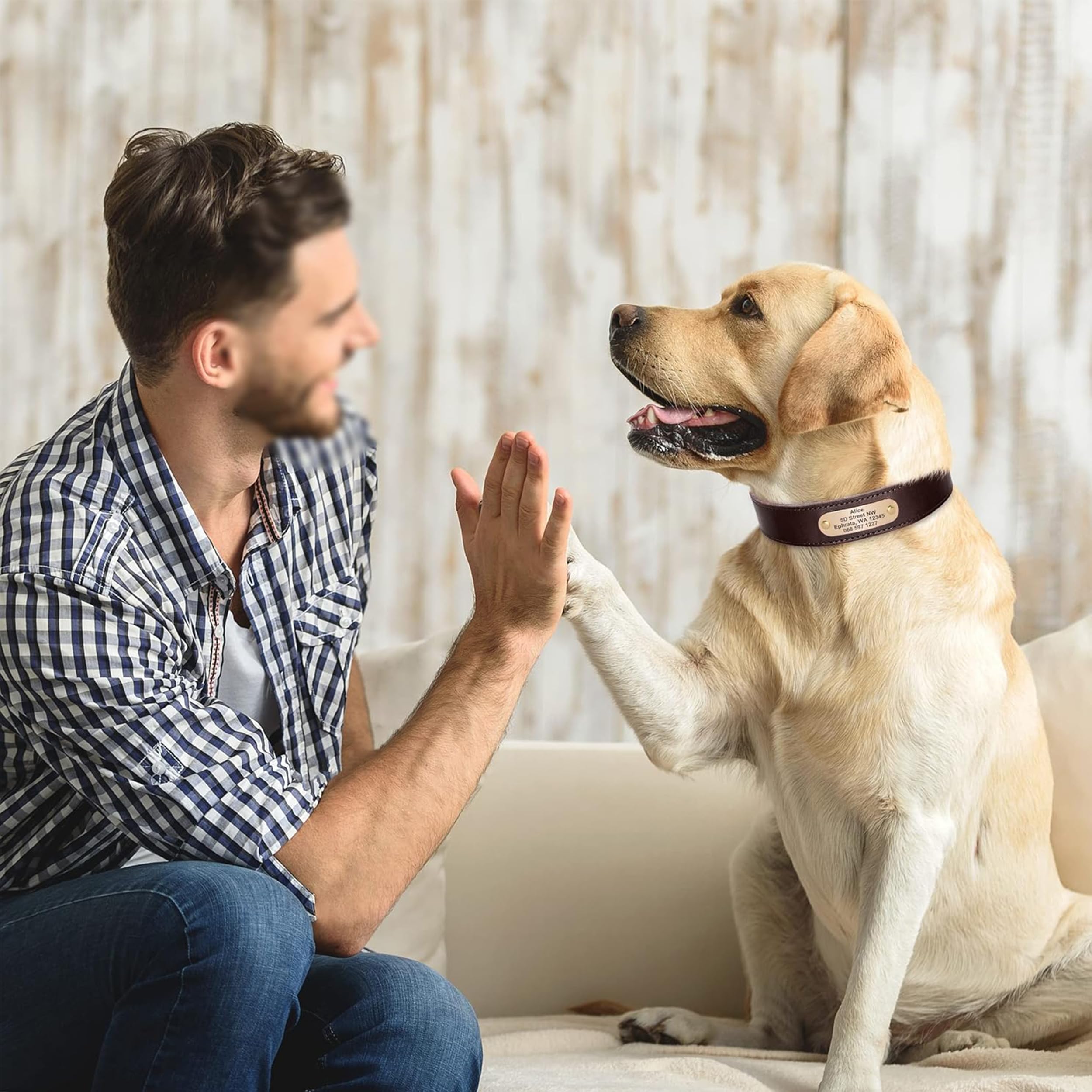 Didog - Collares para perro de piel auténtica con placa de nombre grabada, collar de perro de cuero suave personalizado con etiqueta de identificación personalizada