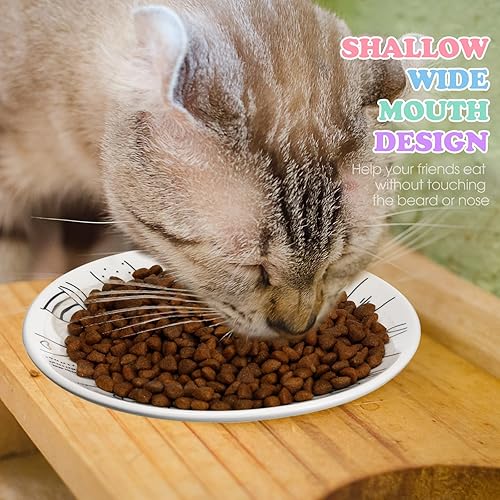 Miniatura 5 de Irenare Juego de 10 platos de cerámica para gatos de 6 pulgadas, anti fatiga y fatiga para gatos, lindos platos poco profundos para comida y agua,