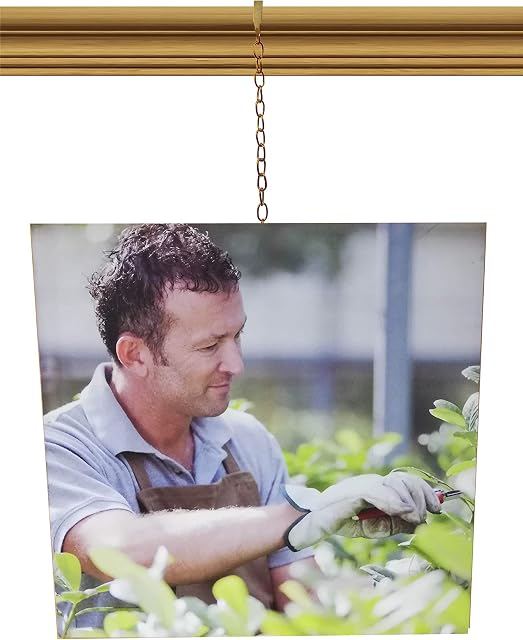 Brass Gold Chain Picture Hanging System Moulding Hook for Traditional Victorian Dado Rail (kit with 1 Meter Long Chain)