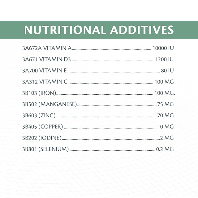 Foto 6 de 8 de Versele-Laga Complete Cavia nutrición Todo en uno