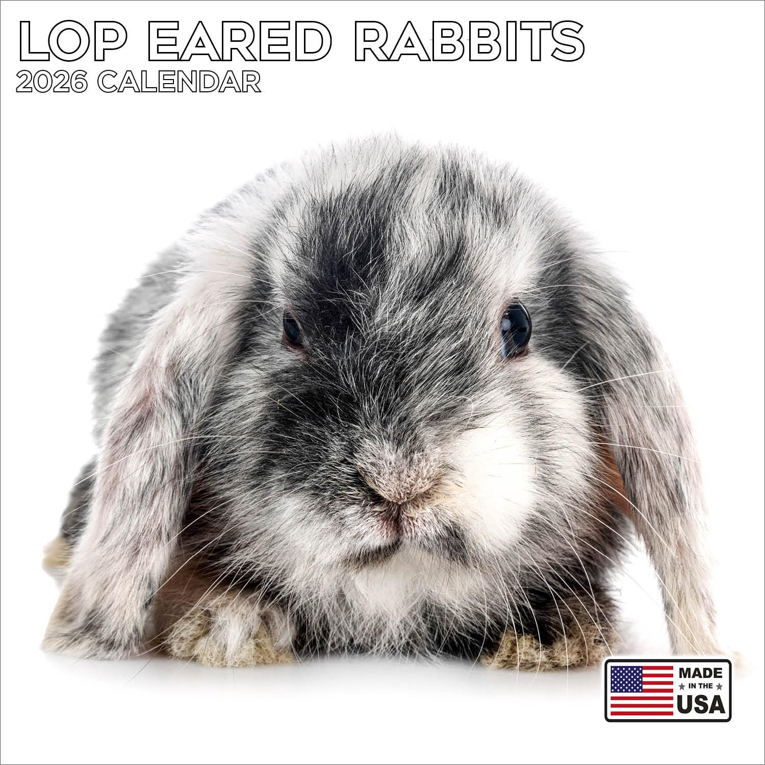 Snapklik.com : 2026 Lop Eared Rabbits Calendar - Dog Breed Wall ...