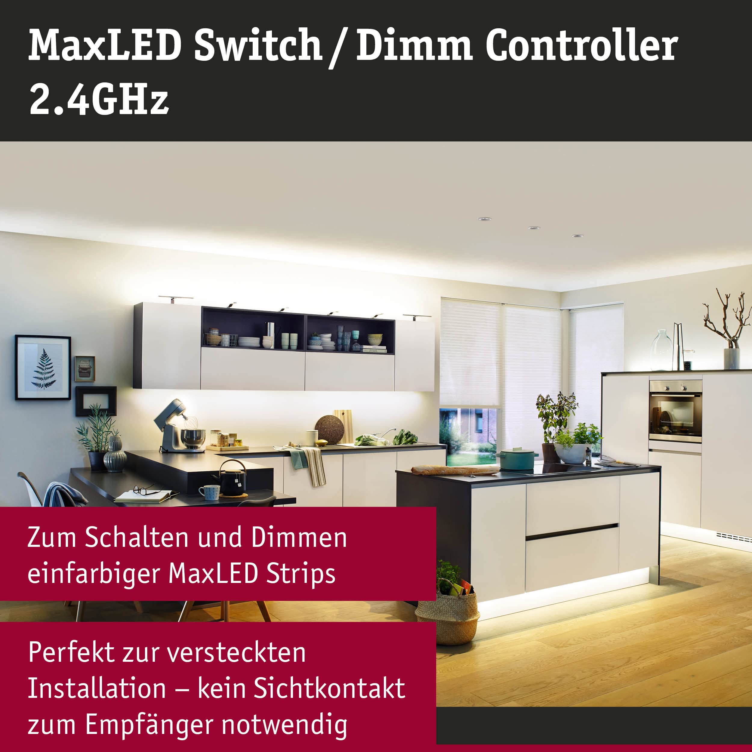 Paulmann 70619 Controller de regulación y conmutación MaxLED para strip LED, mando a distancia para strips monocolor incl. control remoto máx. 144 W accesorio para strips