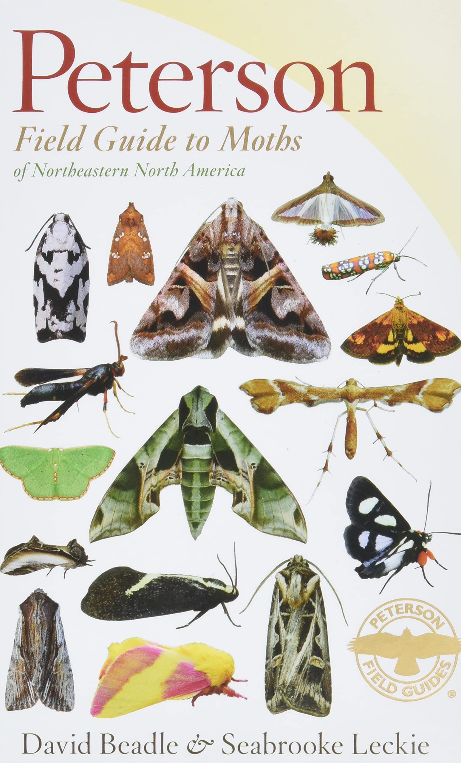 Peterson Field Guide To Moths Of Northeastern North America