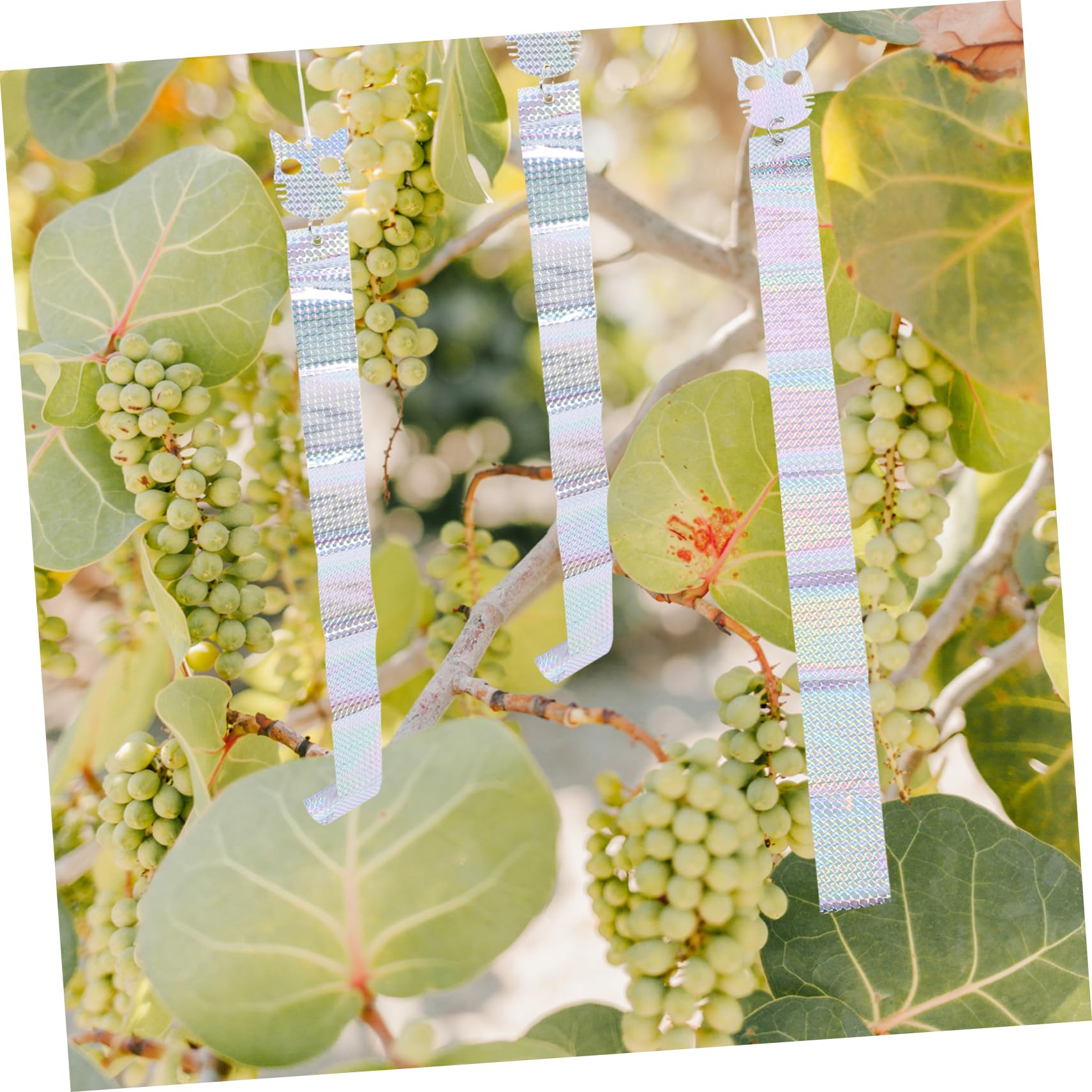 ifundom 4 Set Cintura Repellente per Uccelli Gufo Nastro Repellente per Uccelli da Esterno Nastro Riflettente Grackles Nastro Repellente per Uccelli Nastro Riflettente 3 Pezzi*4