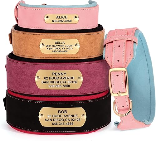 Miniatura 7 de Didog Collares de perro personalizados y acolchados suaves, collar ancho de cuero para perro con placa de nombre, collar de perro ajustable
