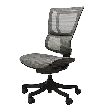 エルゴヒューマン　チェア Amazon.co.jp: 【旧型】 エルゴヒューマン プロ オフィスチェア