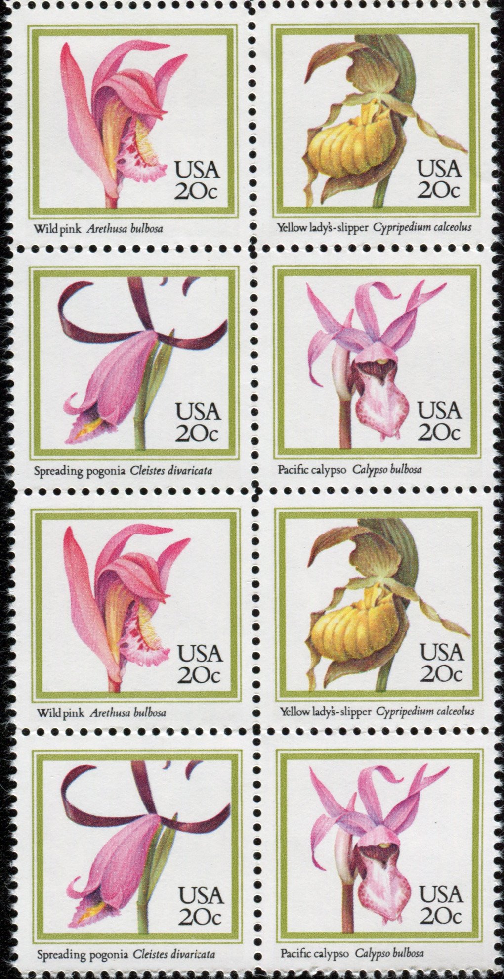 ORCHIDS ~ FLOWERS #2079a Block of 8 x 20¢ US Postage Stamps
