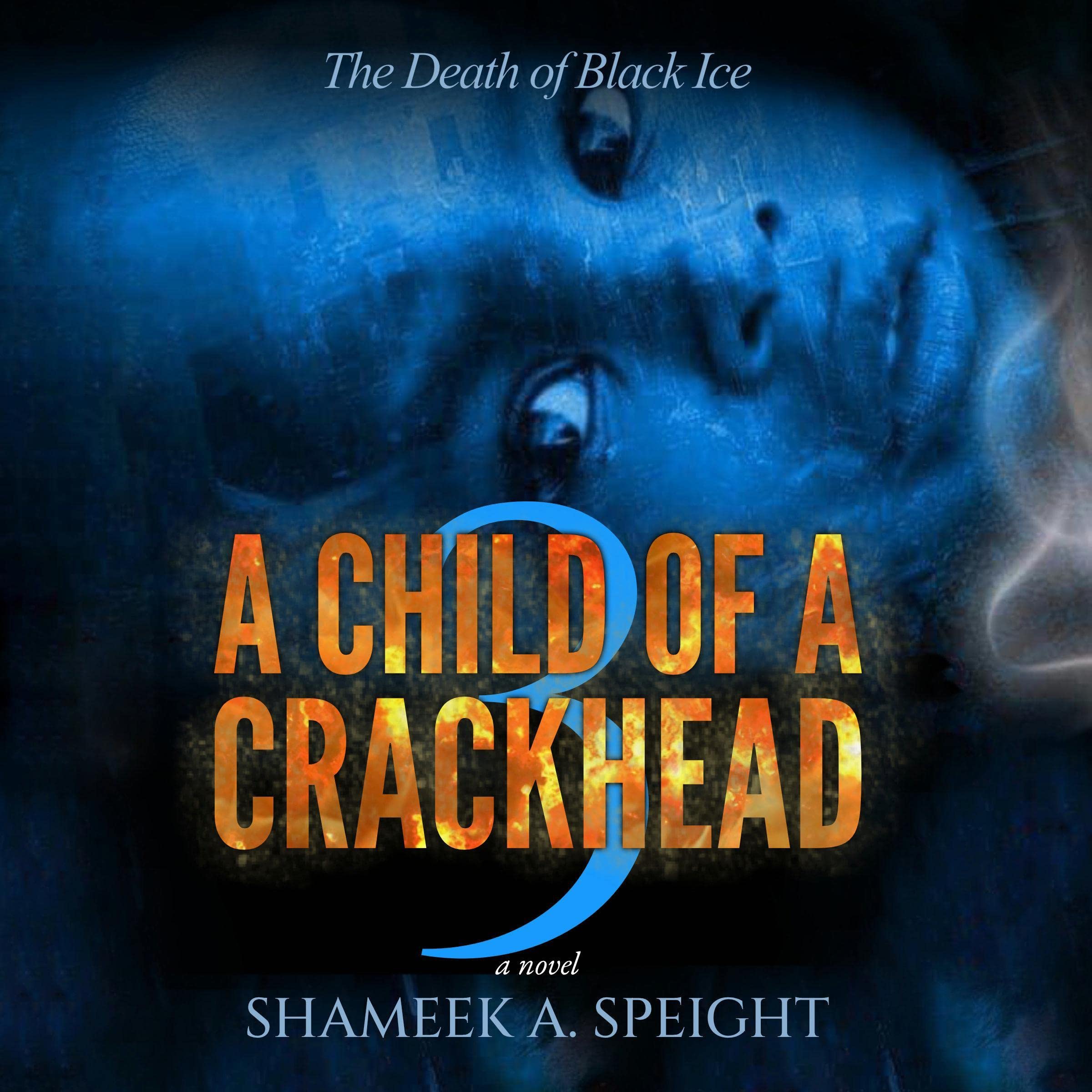 Cover art for A Child of a CrackHead III