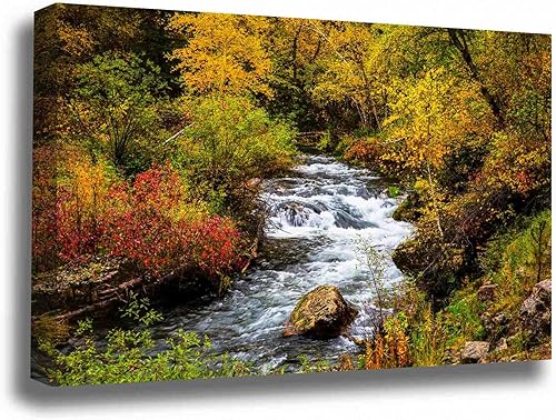 Black Hills Canvas Wall Art (Ready to Hang) Gallery Wrap of Fall Foliage Surrounding Creek on Autumn Day in Spearfish Canyon South Dakota Western