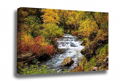 Black Hills Canvas Wall Art (Ready to Hang) Gallery Wrap of Fall Foliage Surrounding Creek on Autumn Day in Spearfish Canyon South Dakota Western