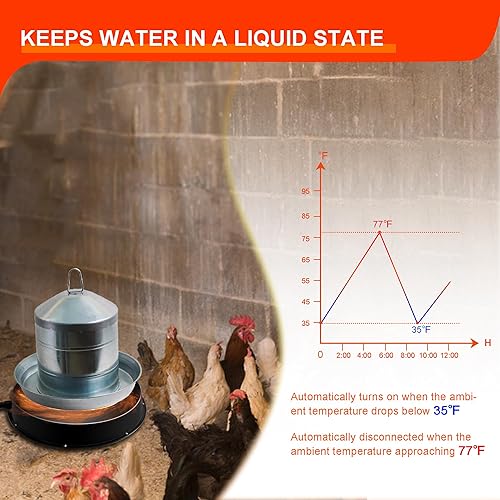 Miniatura 4 de Eggluuz Calentador de agua de pollo para bebedor de pollo de invierno, base calentada con termostato