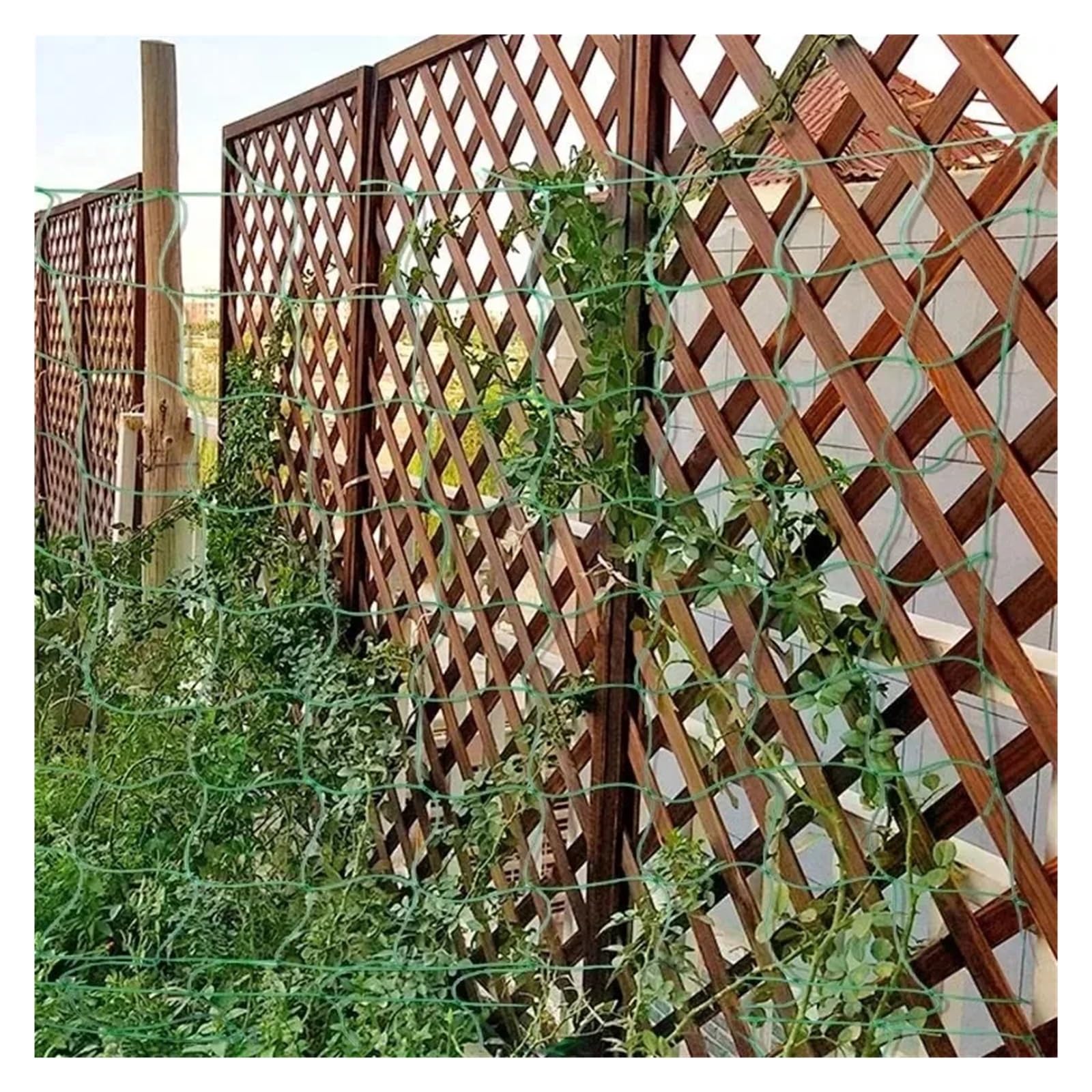 Rete Protettiva in Plastica 5/1 pz verdura frutta fiori piante rampicanti rete spessa in nylon resistente for cetrioli pomodoro uva accessori for la casa giardino(Grenn-1.8x1.8m,5PCS)