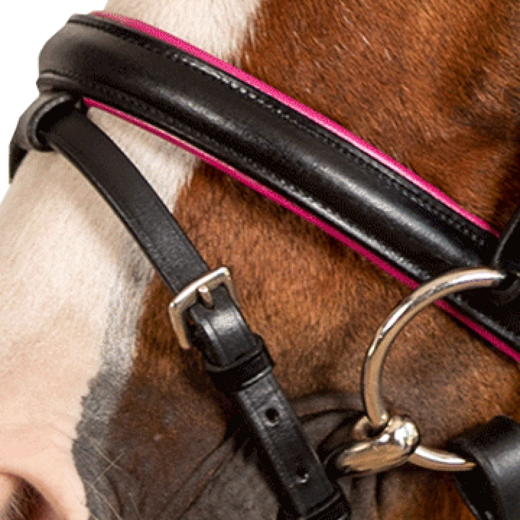 STAR Trensenzaum Pinky