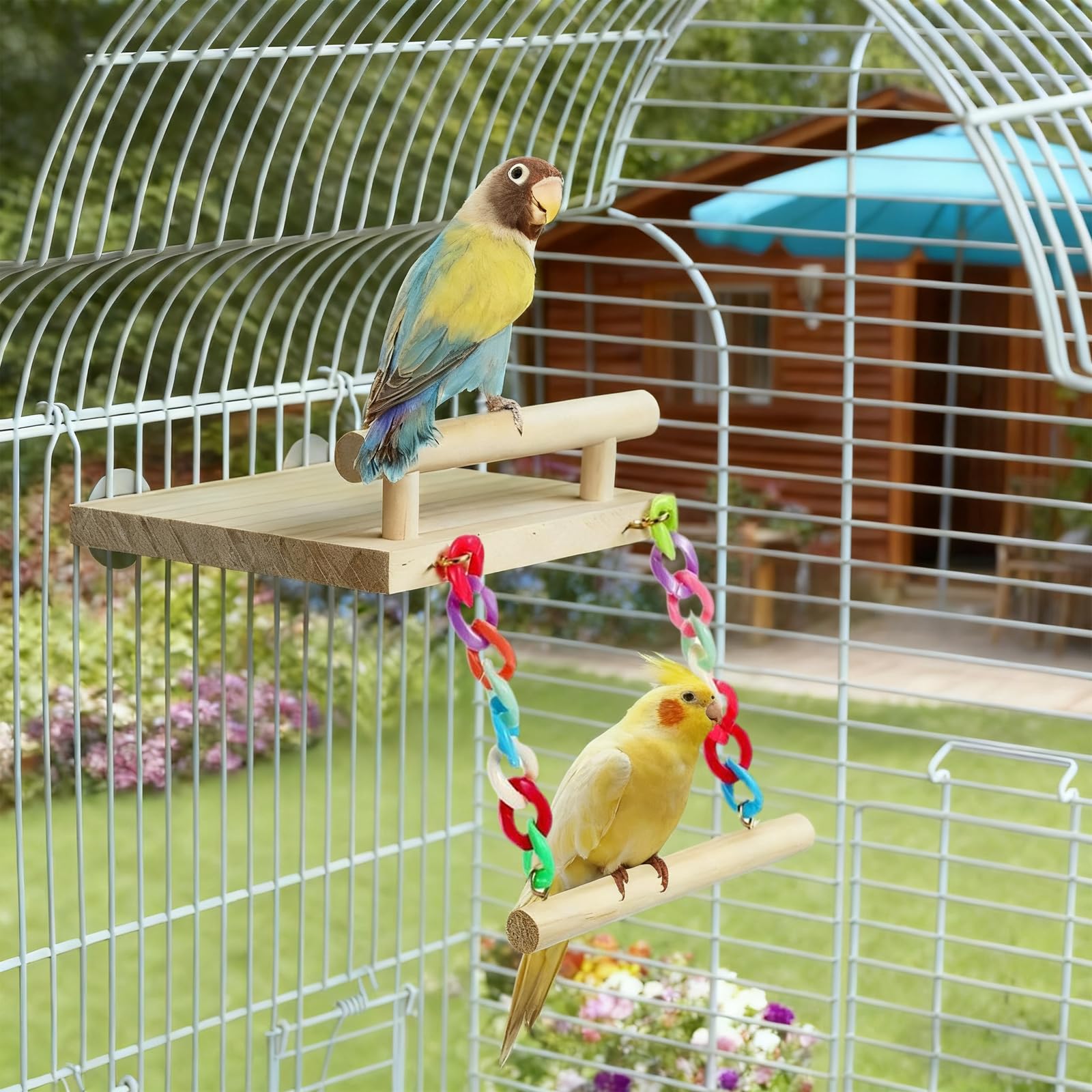 Ouets pour Oiseaux, Perchoirs à Oiseaux en Bois avec Couleur Balançoire, Jouet Perroquet, Jouets à Mâcher en Bois pour Pinsons pour perruches, Calopsittes, Cacatoès