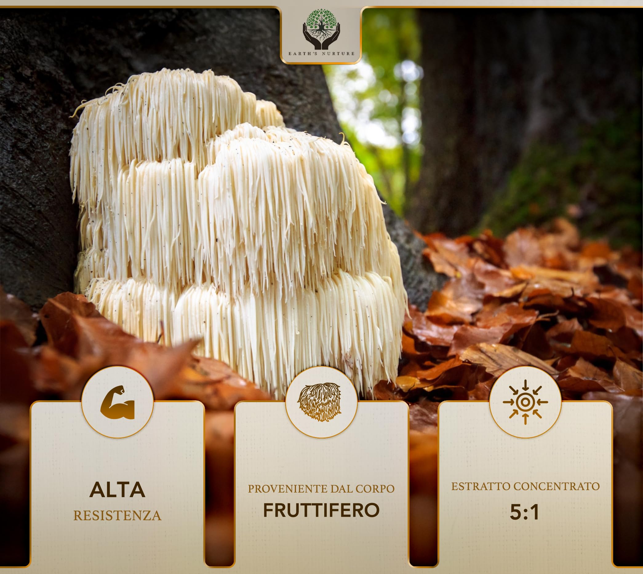 EN Lions Mane | 1000mg Lion's Mane per Dose | Alta Potenza Fungo Criniera di Leone - 90 Lion-Mane Mushroom Capsules | Non-OGM, Senza Glutine e Allergeni | Prodotto nel Regno Unito